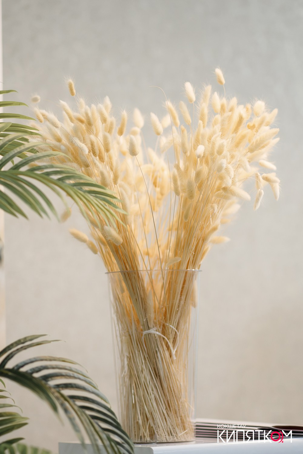 DOLCE CASA. КИПЯТКОМ КОКШЕТАУ