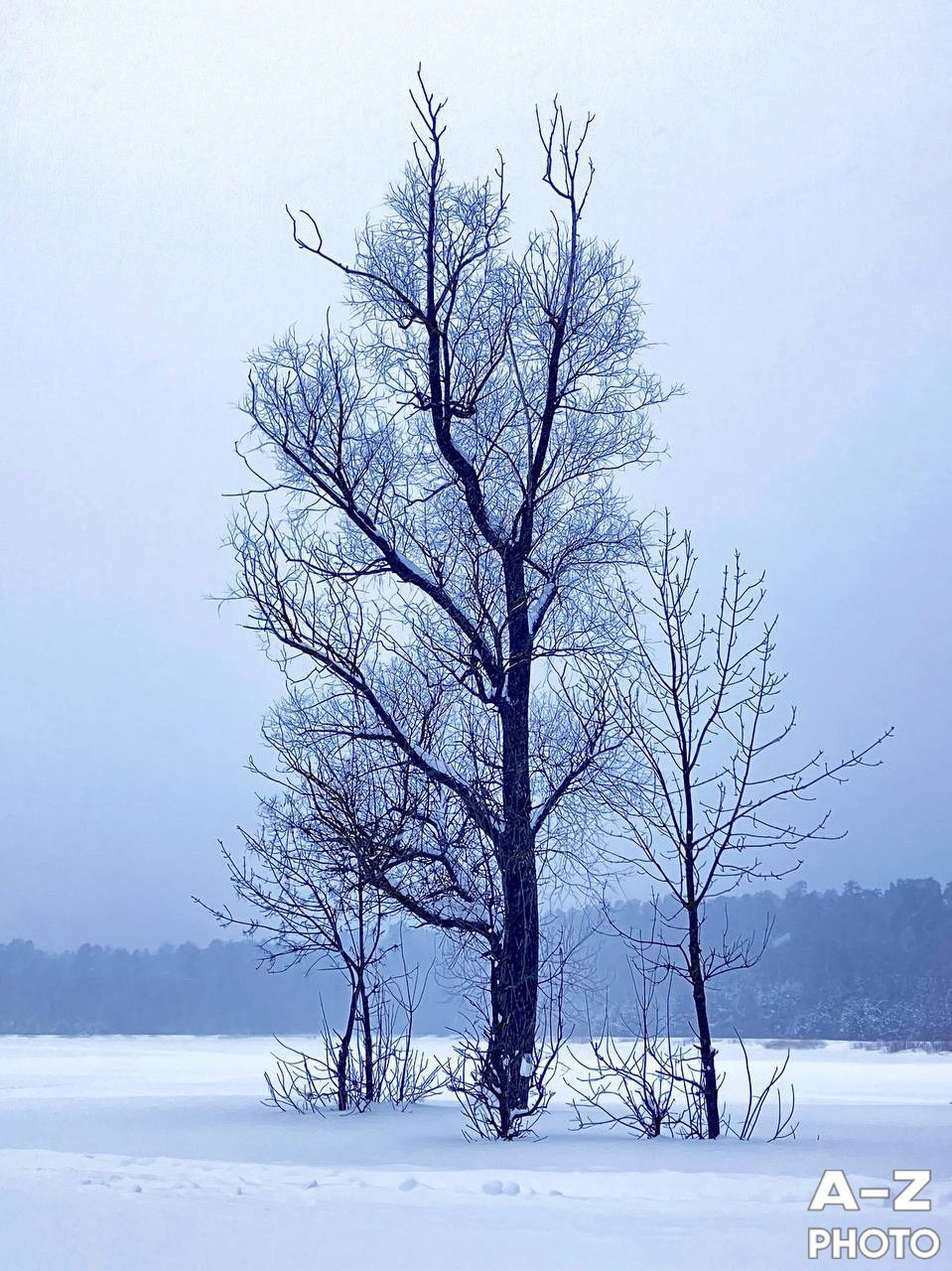 #ФОТОНЕДЕЛИ 02.02.2026. Женский семейный фотограф Тула Москва Захарова Анна