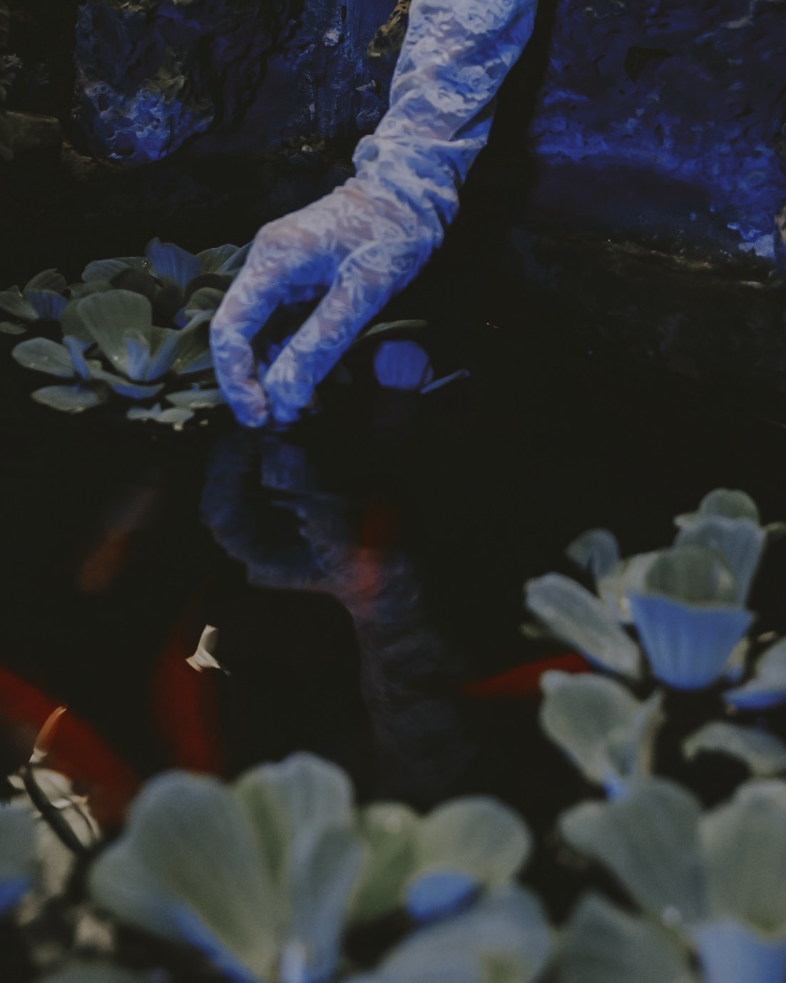 Эля сад. Портретный и семейный фотограф Владивосток Андрей Липатов