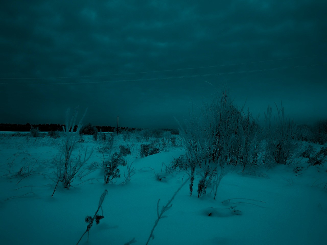 Tsss. Фотограф Cyberkyrie