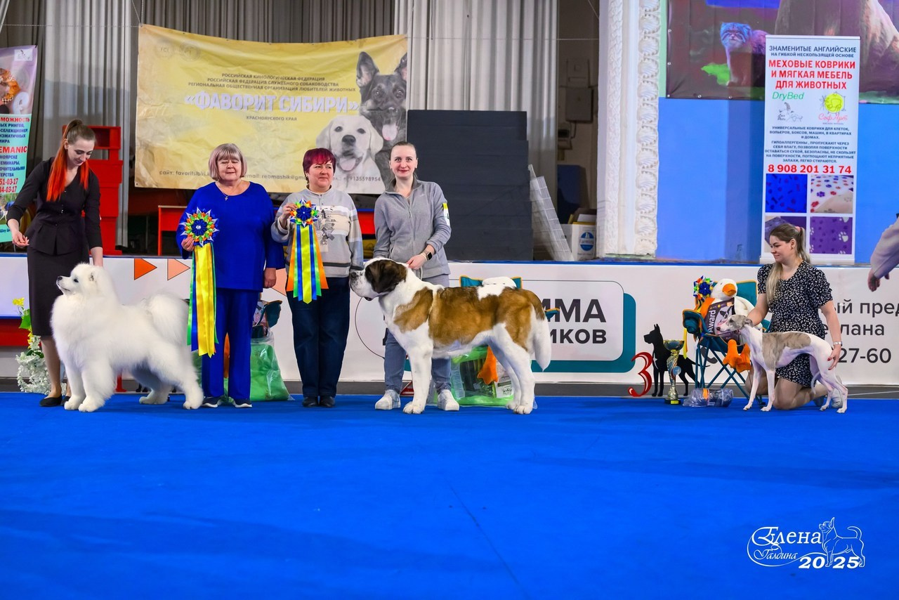 Отзывы. Фотограф анималист Елена Галдина г. Красноярск