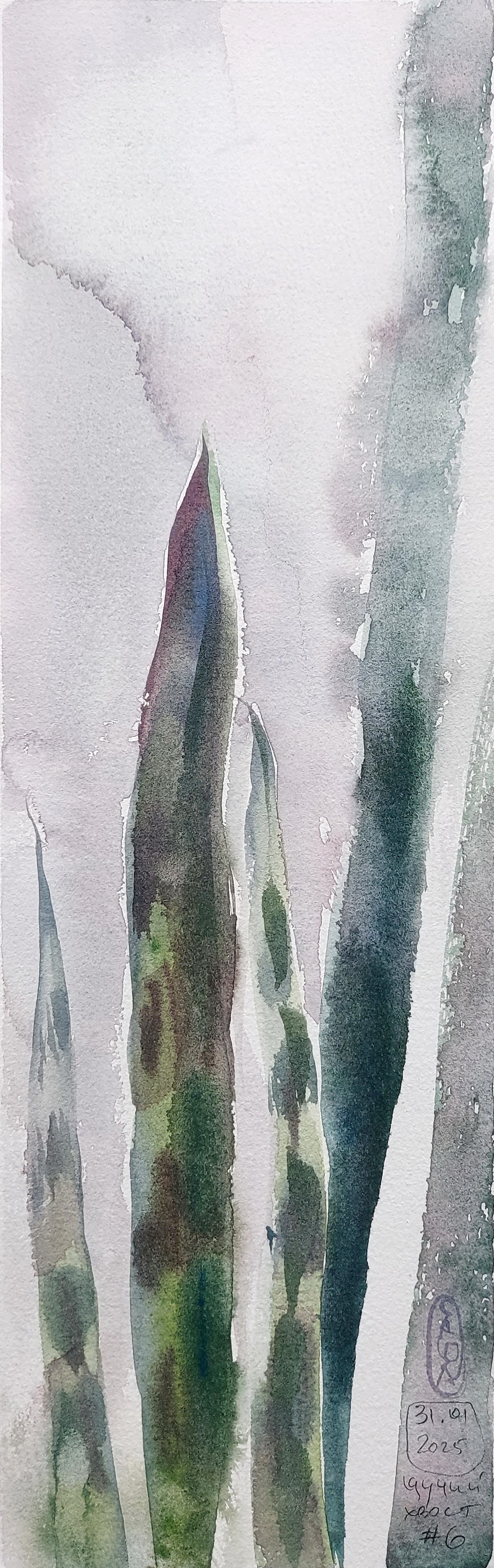 Flowers. Alexander Manaenkov | Watercolor Artist from Siberia