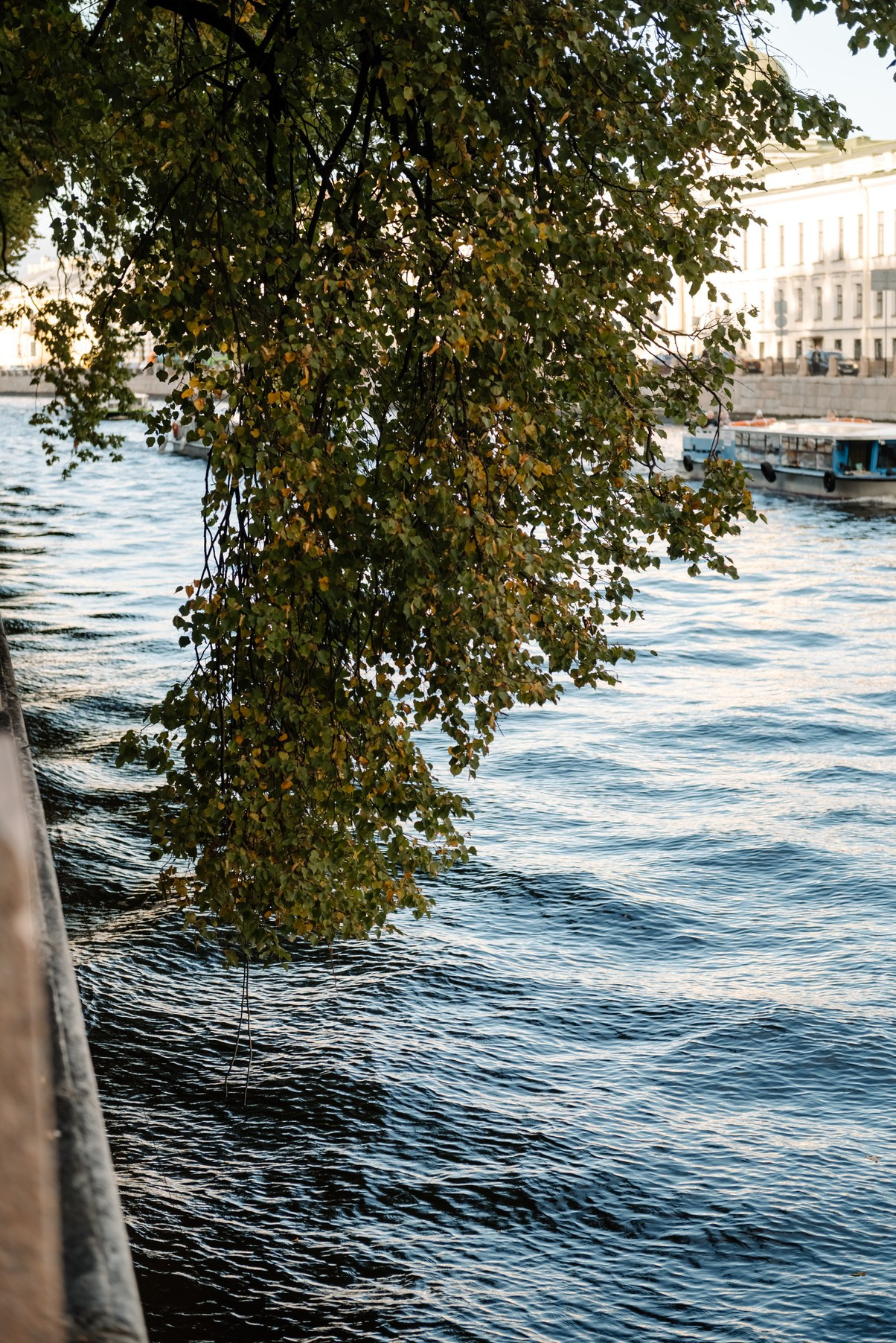 Индивидуальная. Летний сад. Свадебный и сеейный фотограф в Санкт-Петербурге Елена Худякова