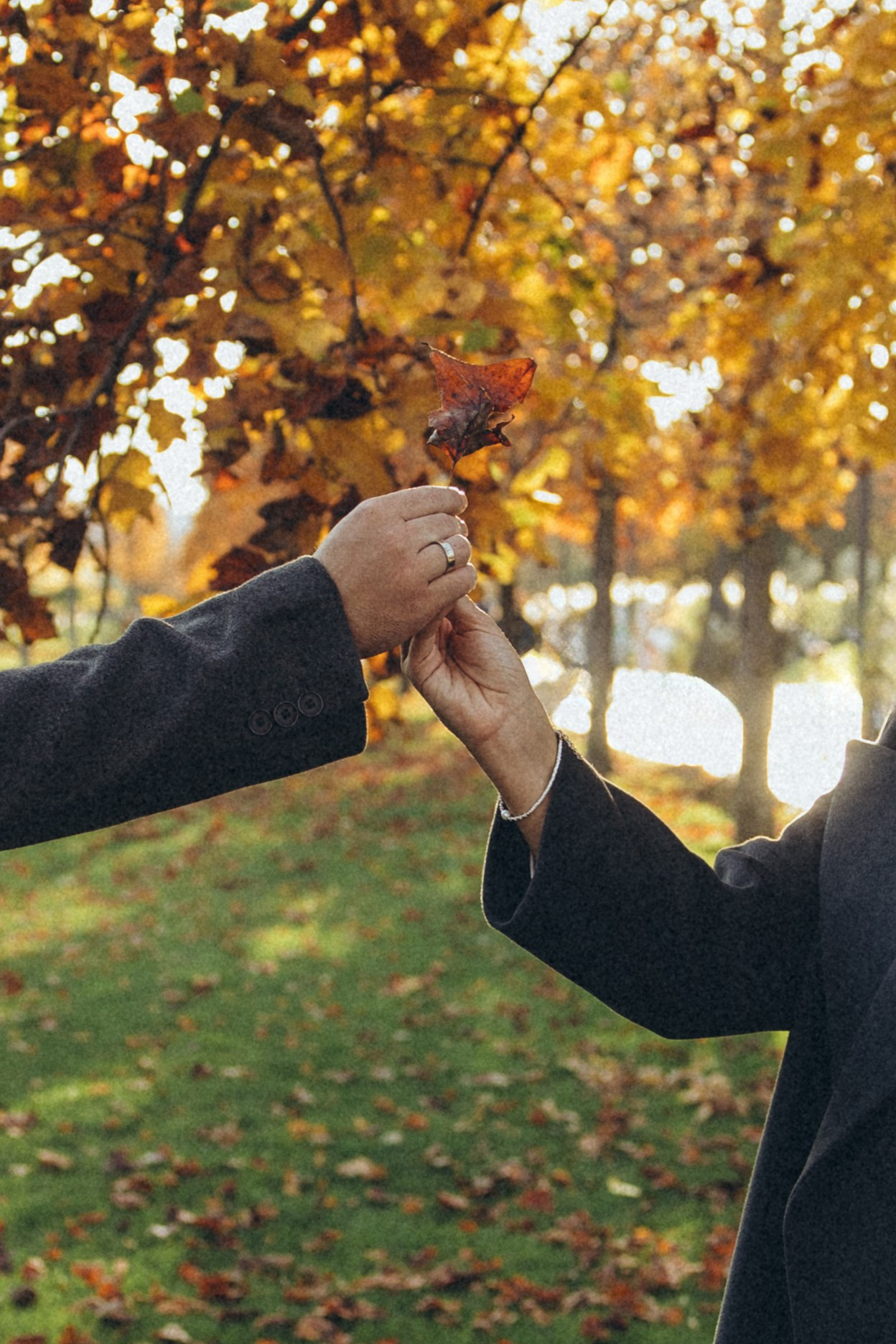 Даниил и Илона. Фотограф Краснодар