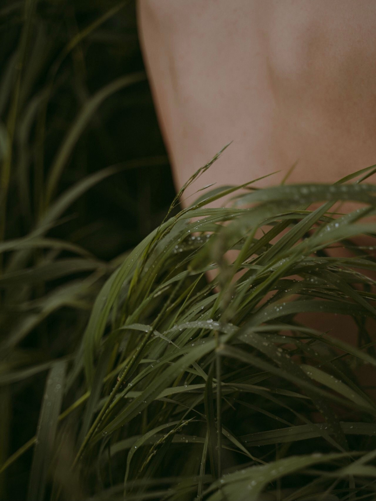 Summer. Фотограф, оператор, режиссер монтажа в Москве Сюзанна Евсюкова