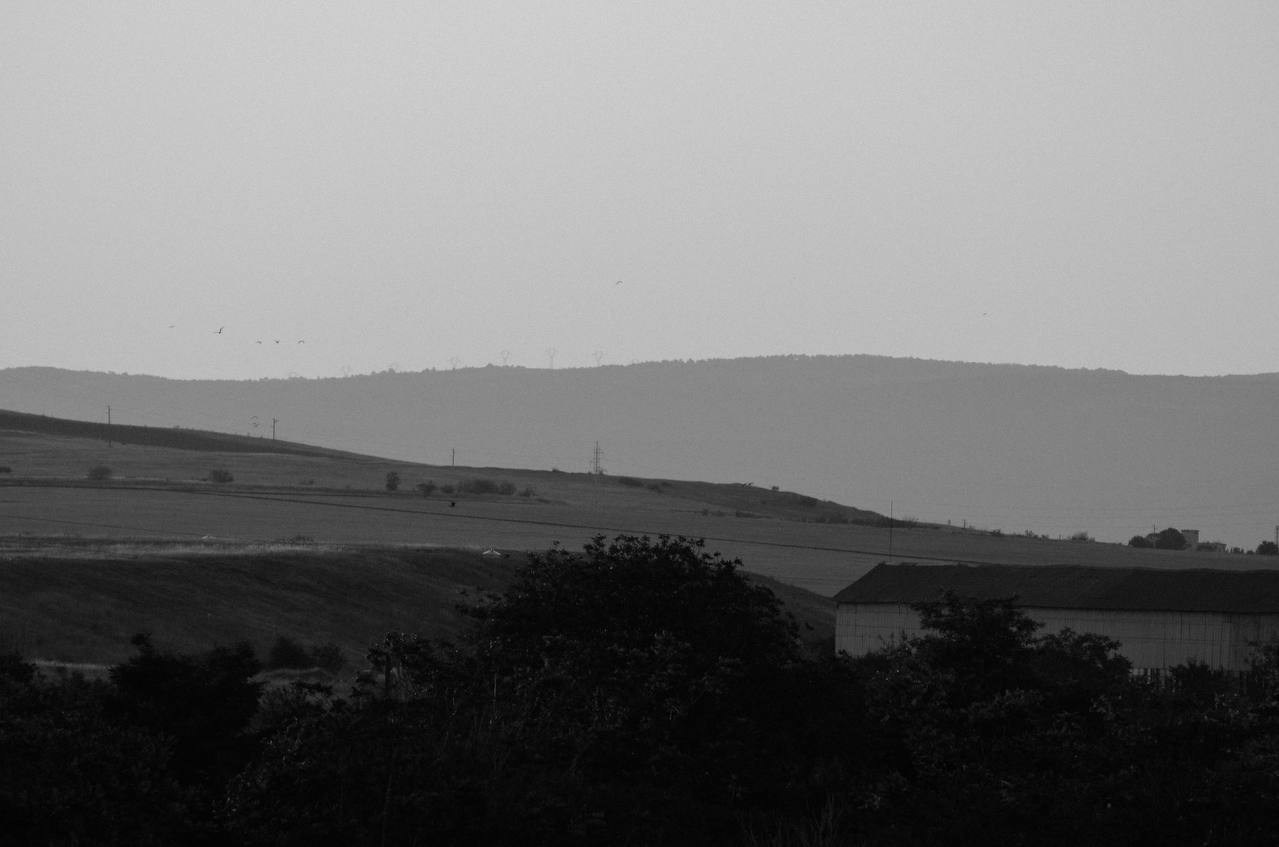 Nature. Портретный фотограф в Москве Ксения Богданова