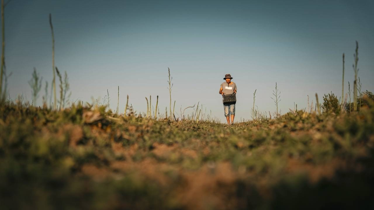 Документалистика. Фотохудожник в Санкт-Петербурге Вурал Мелиса