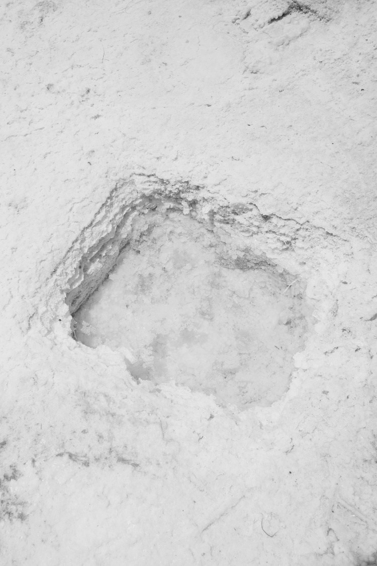 Проект Розы Лакавалла (Rosa Lacavalla) «Sana Sana». Private image