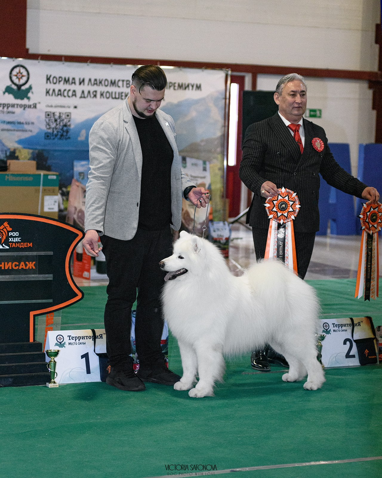 23 марта 2024 Хабаровск. Фотограф анималист Благовещенск. Сафонова Виктория