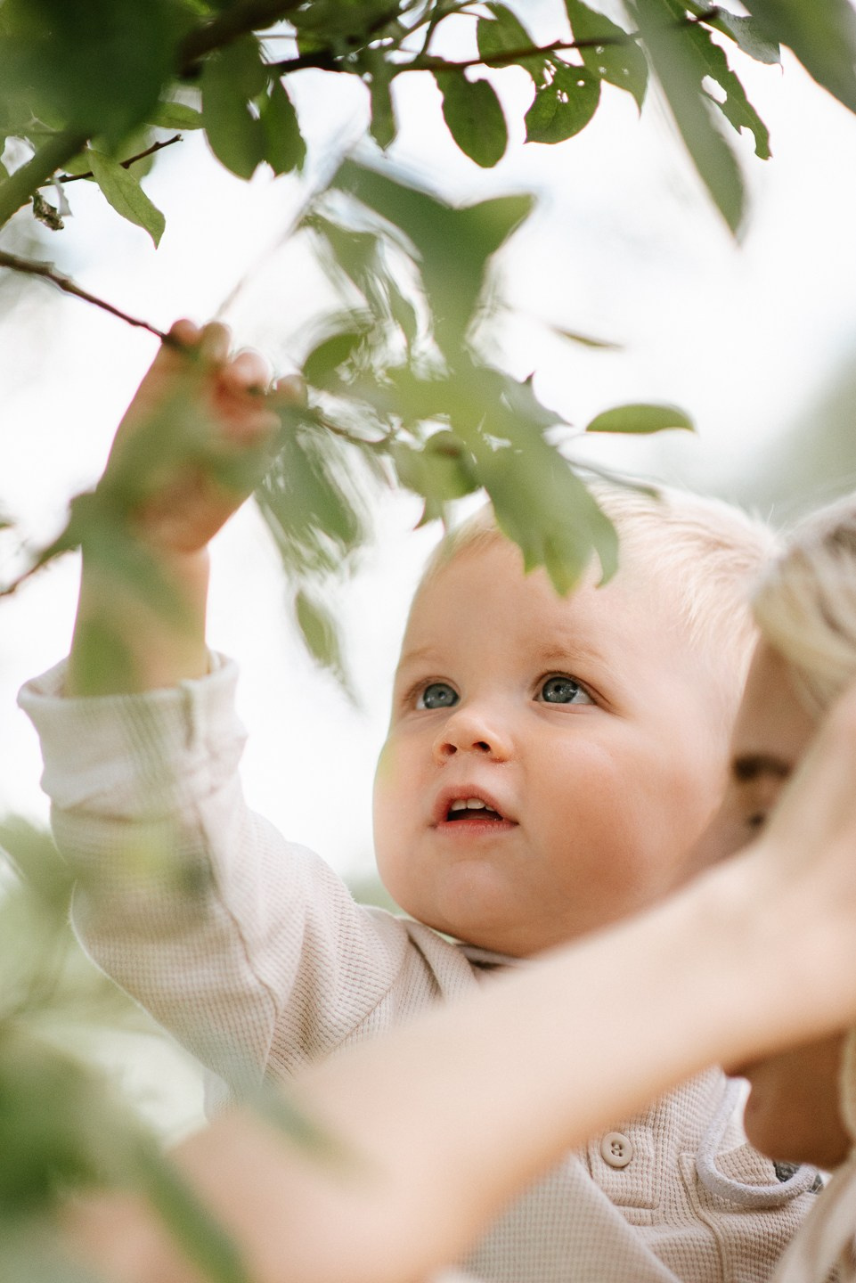 Август | на природе