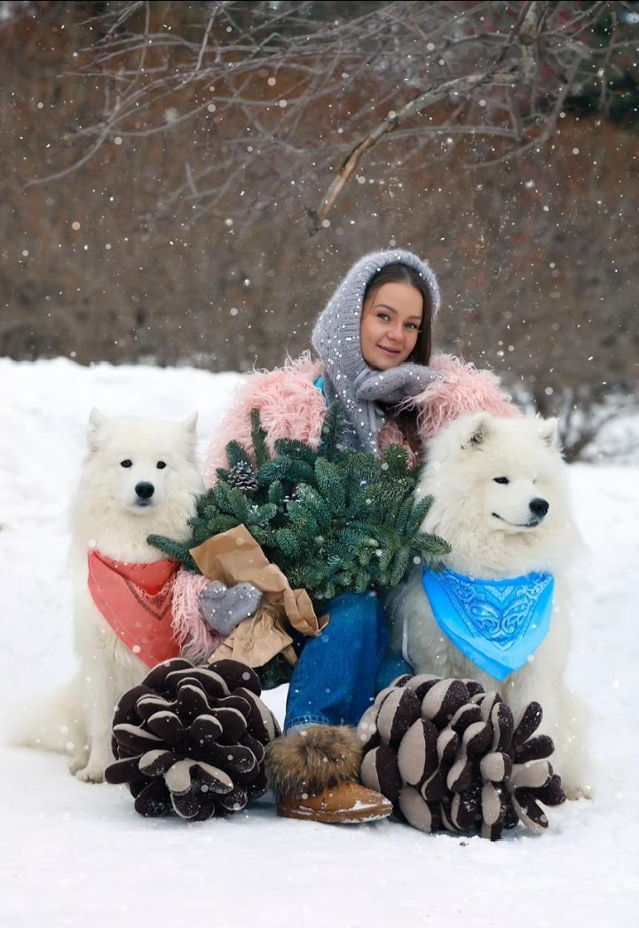 Фотосессия с самоедами новосибирск