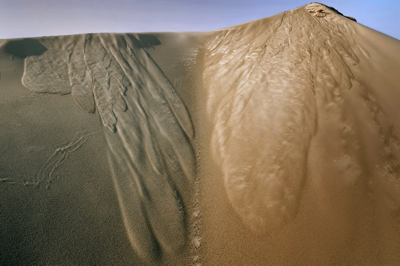 Симуляторы (Каталог № 4). Главная