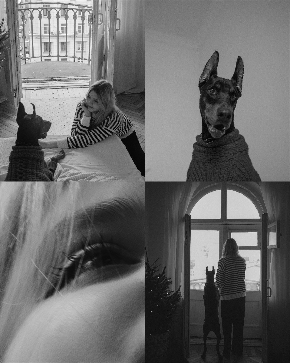 Саша и Асти. Фотограф анималист в Москве и Санкт-Петербурге Свиридова Анна