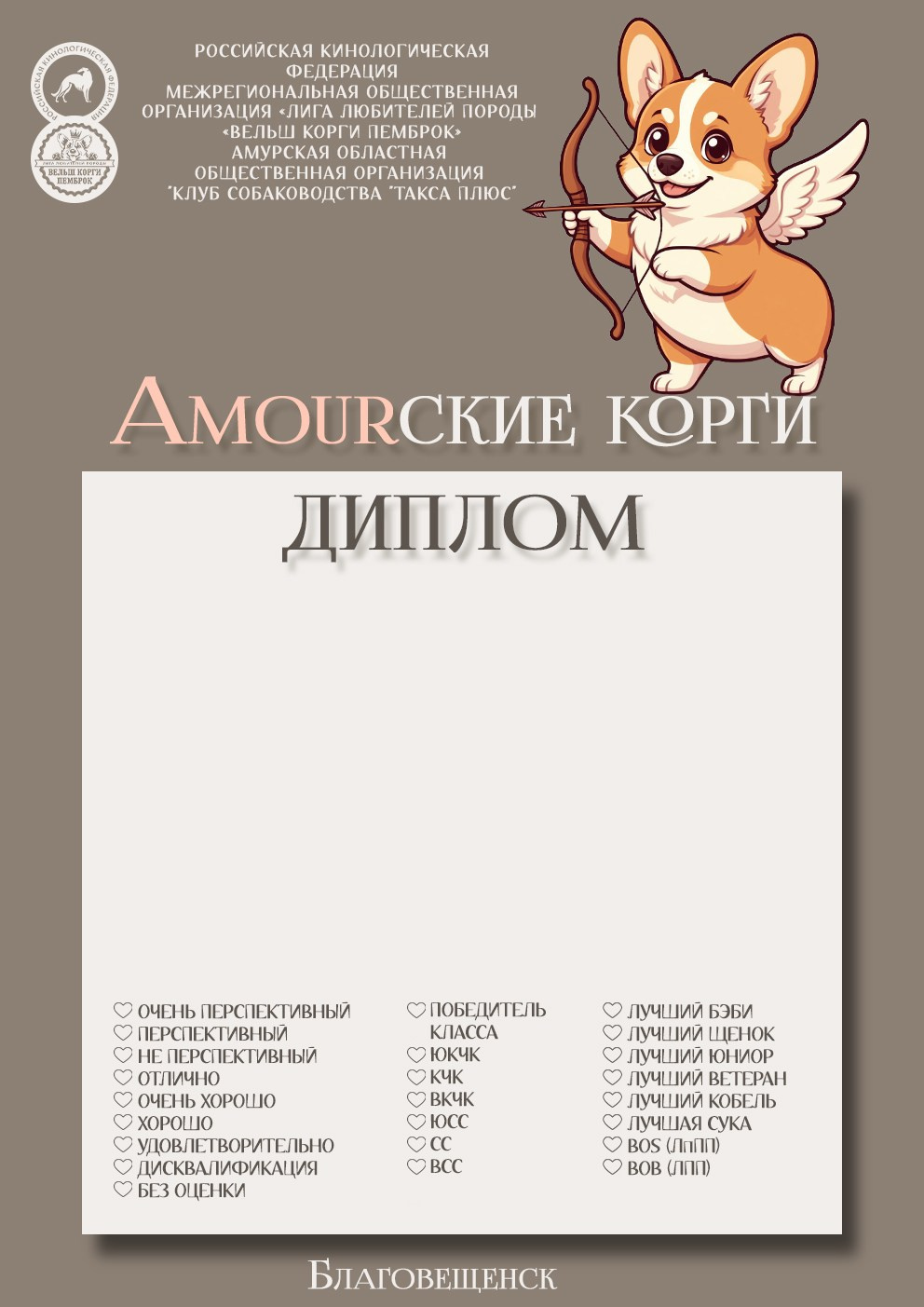 Дипломы, папки и ветпаспорта. Фотограф анималист Благовещенск. Сафонова Виктория