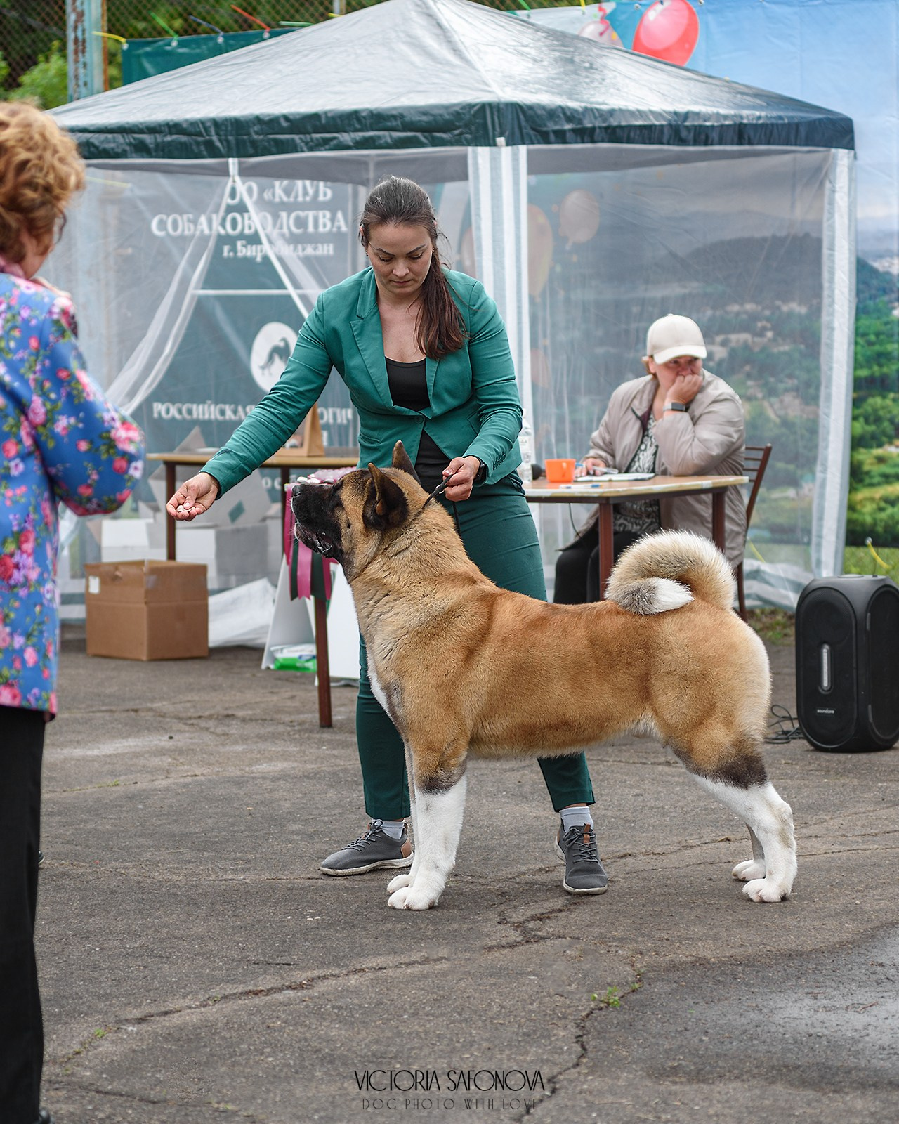 15 июня 2024 Биробиджан. Фотограф анималист Благовещенск. Сафонова Виктория