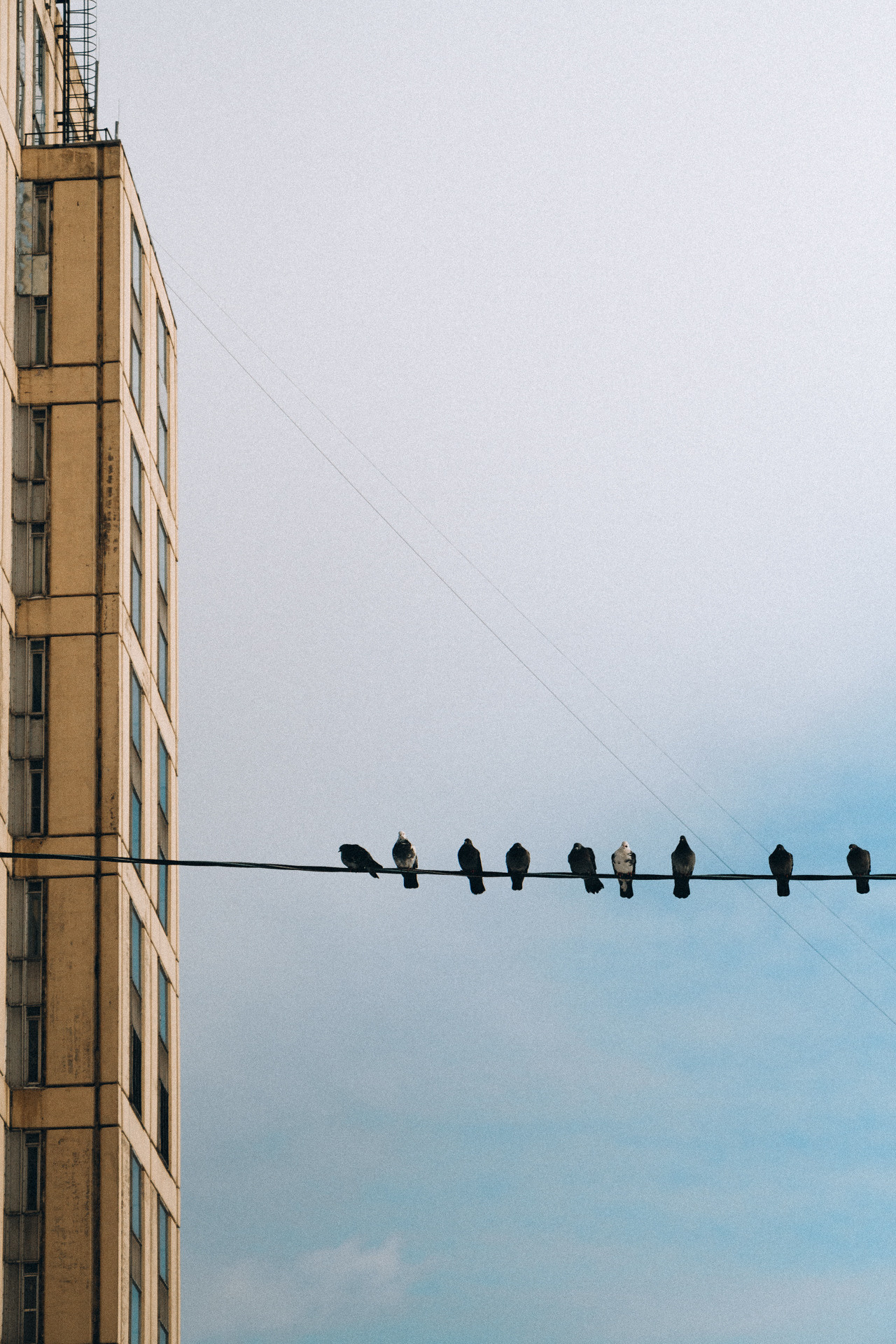 Стрит. Платонов Олег — фотограф Санкт-Петербург