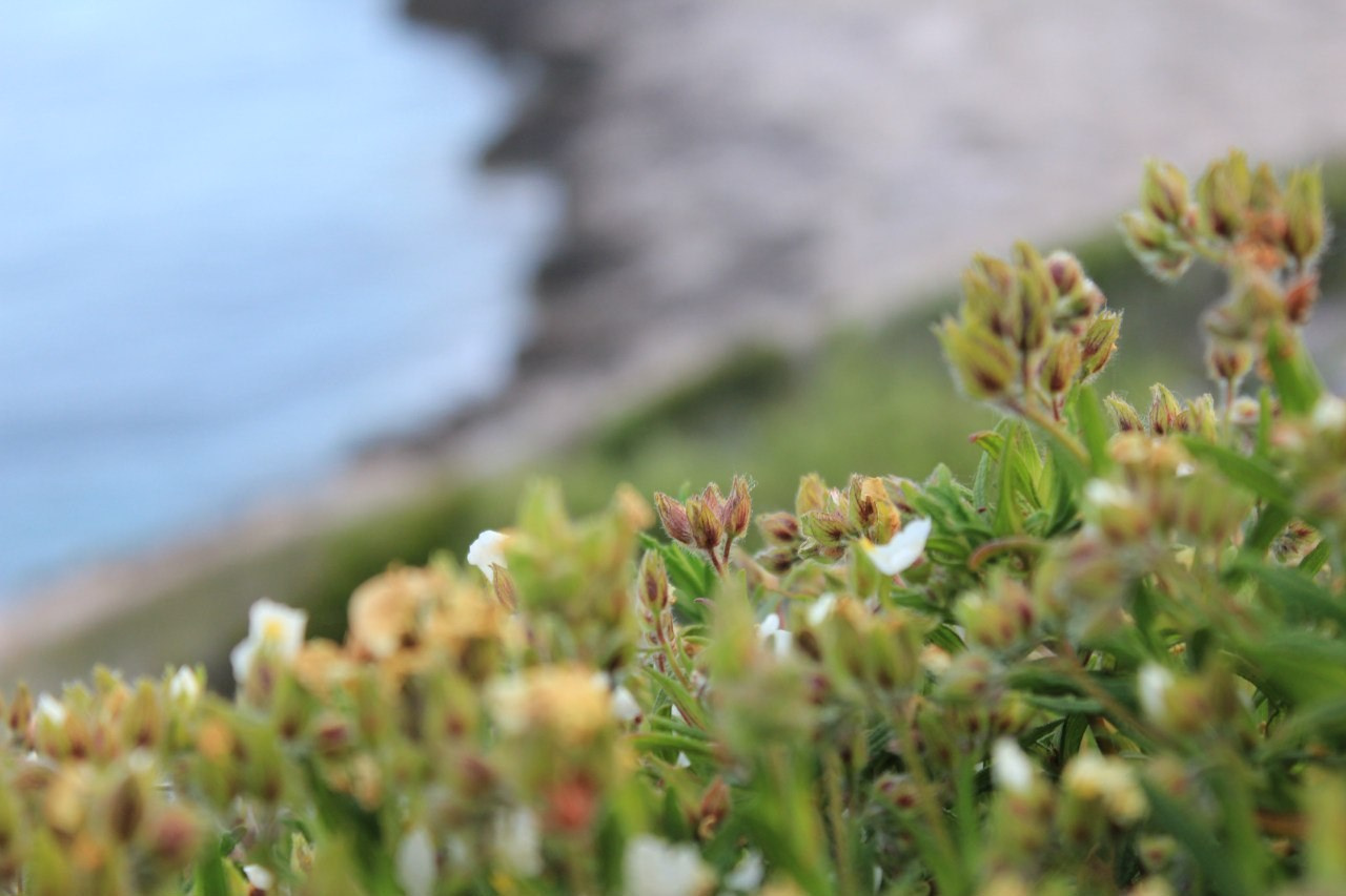 Mix. Varvara cohen photographer