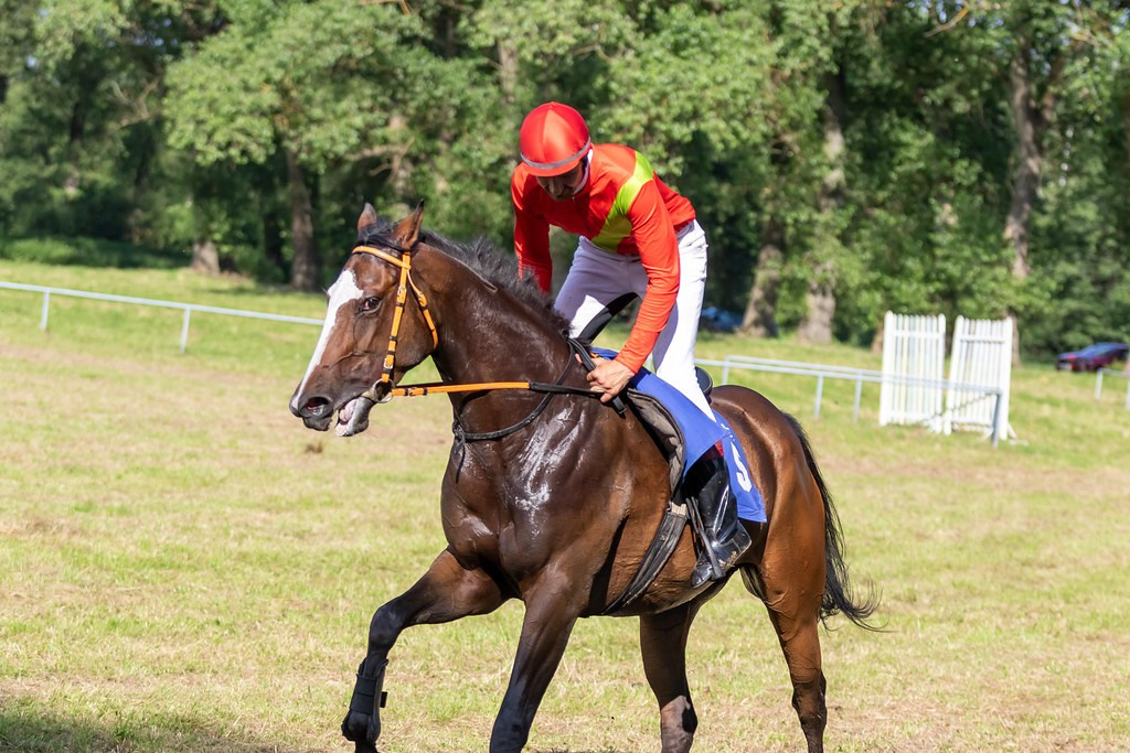 Seminar 5 July Evaluating gates in dressage. Liana Antanovich | Equestrian Strategies
