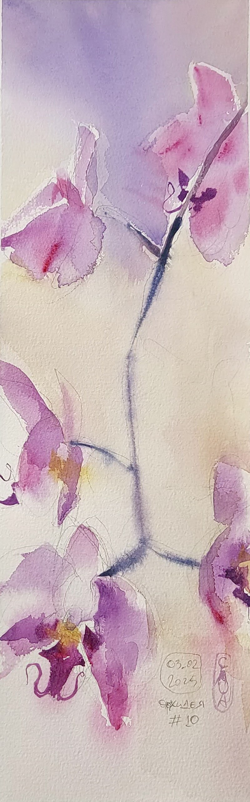 Flowers. Alexander Manaenkov | Watercolor Artist from Siberia