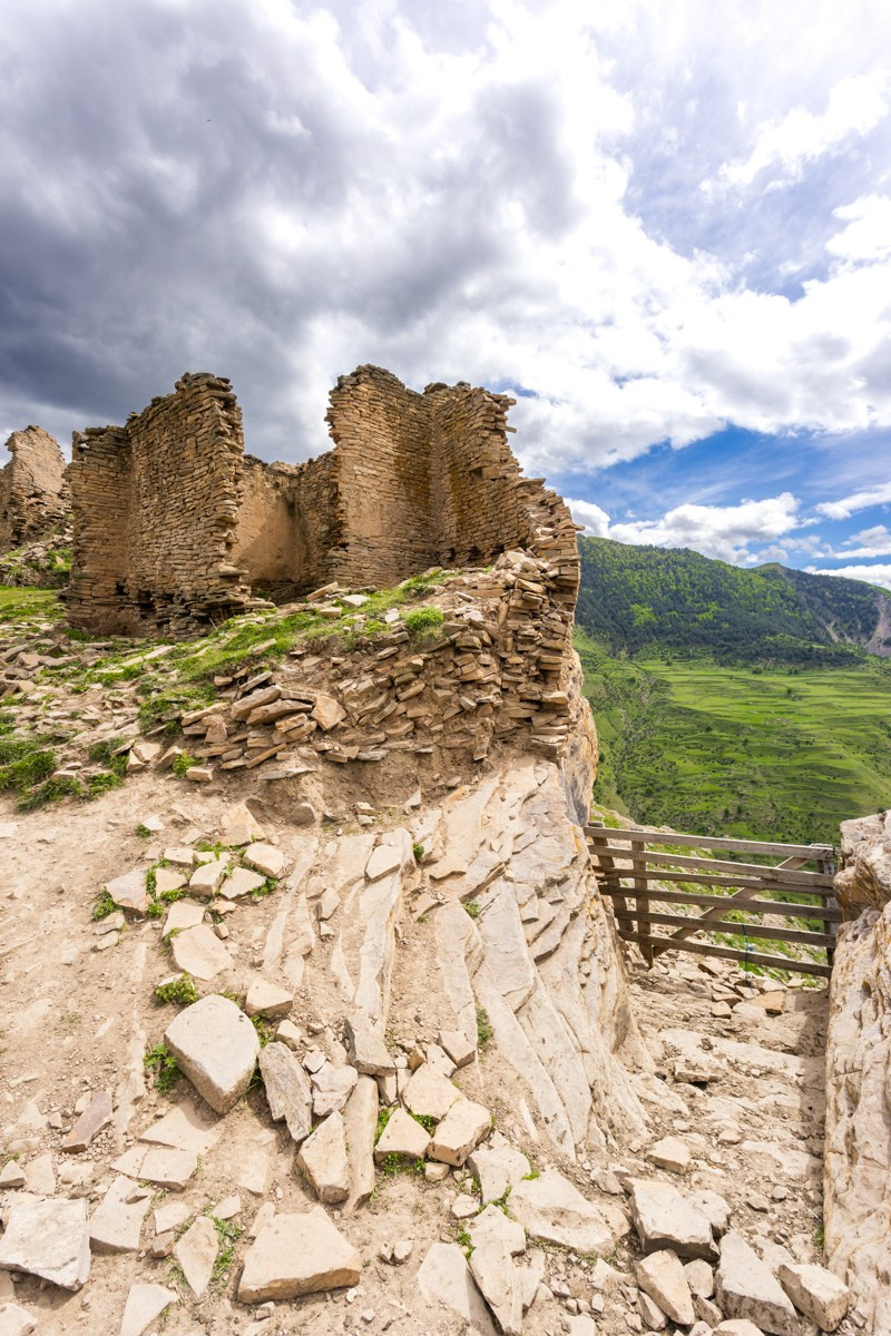 Язык Тролля. Photomantis