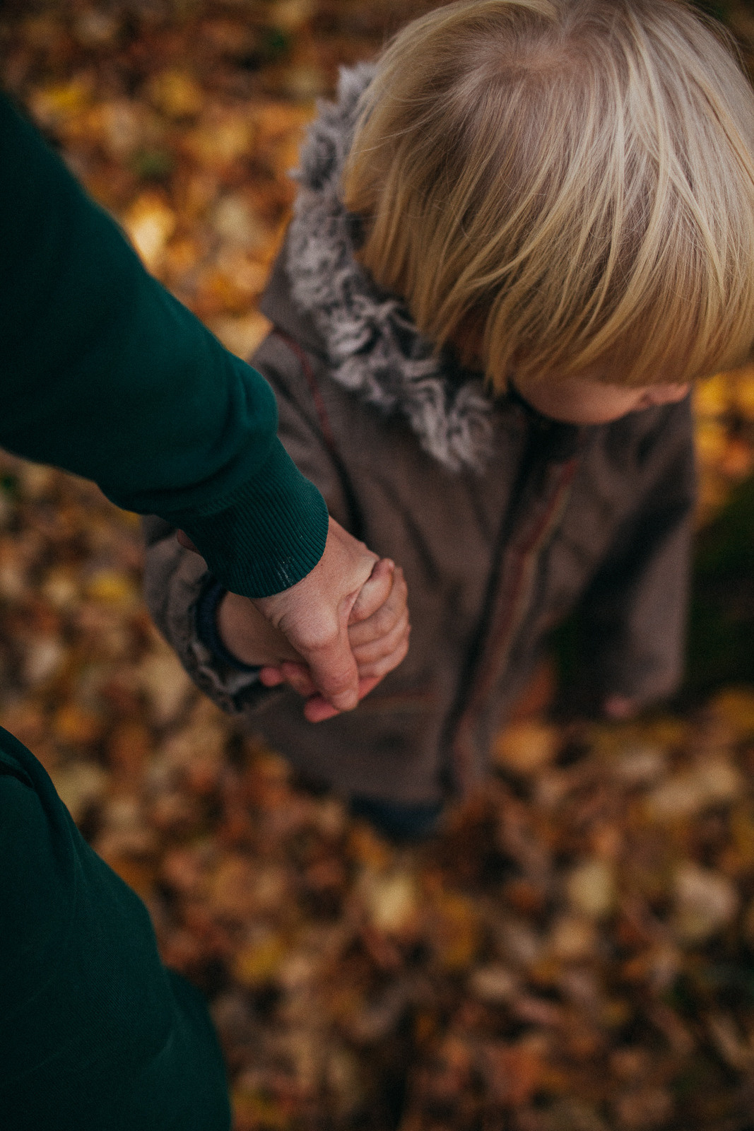 Братья. Семейный домашний фотограф Москва Зеленоград Настя Маркова