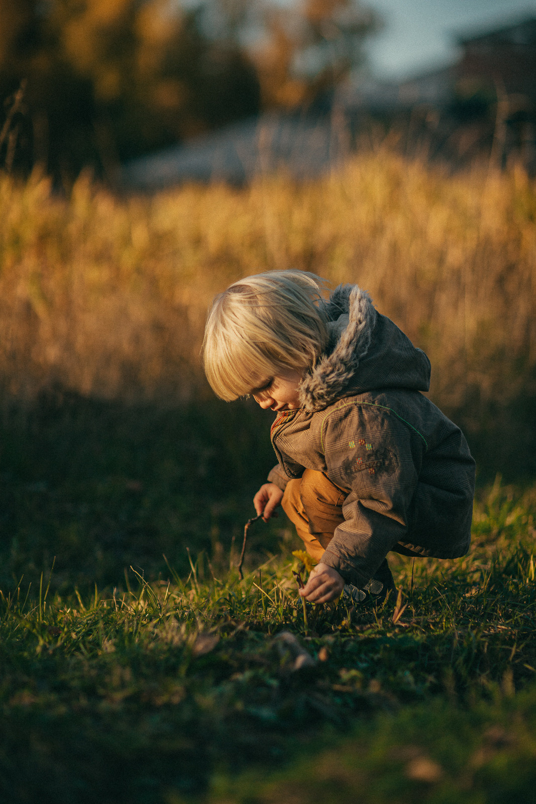 Братья. Семейный домашний фотограф Москва Зеленоград Настя Маркова