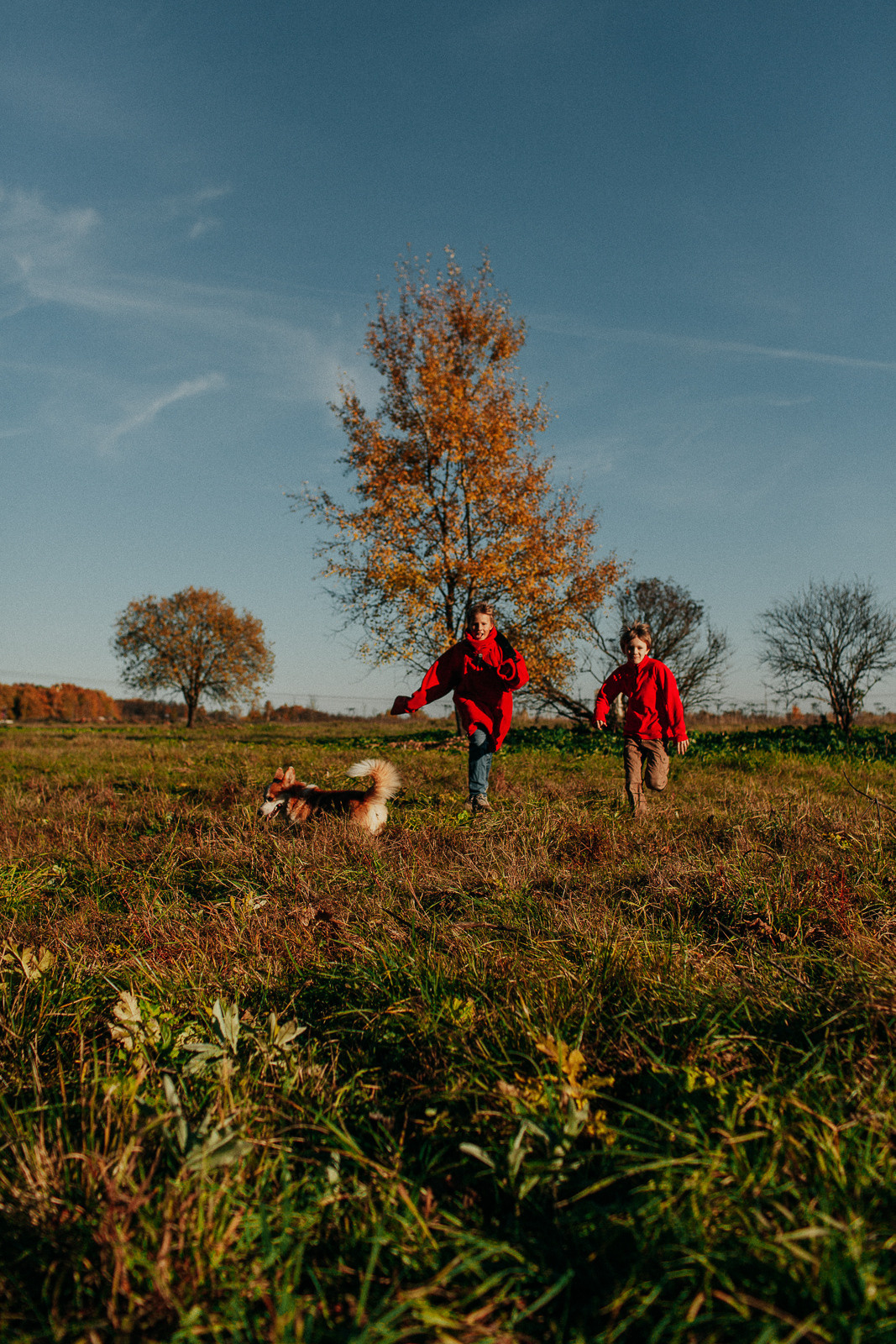 Братья. Семейный домашний фотограф Москва Зеленоград Настя Маркова