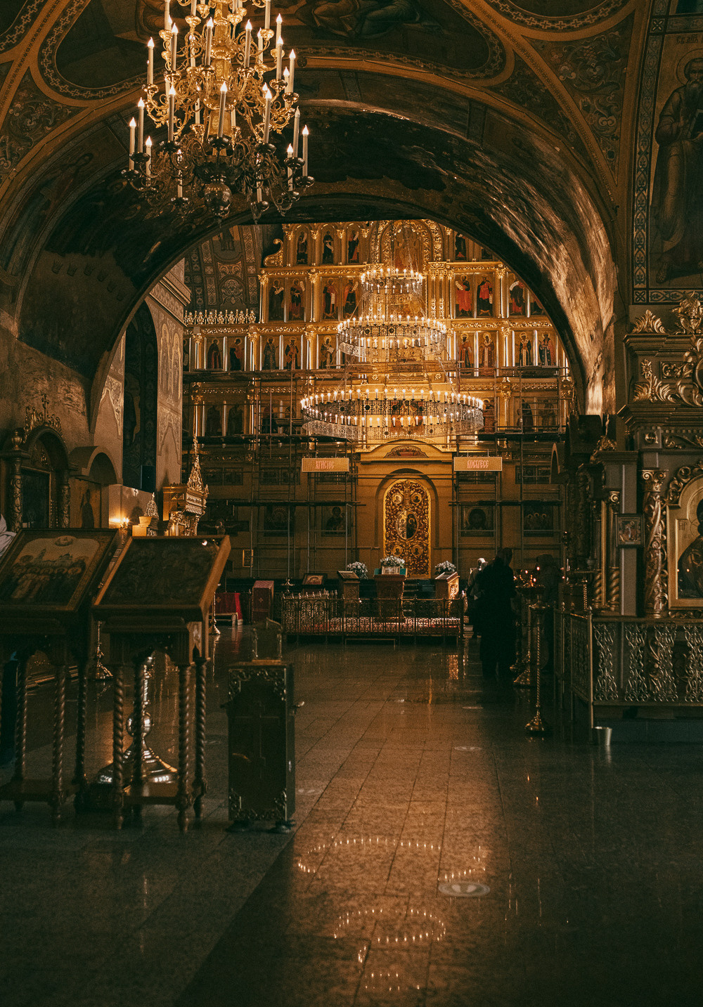 Марк. Семейный домашний фотограф Москва Зеленоград Настя Маркова