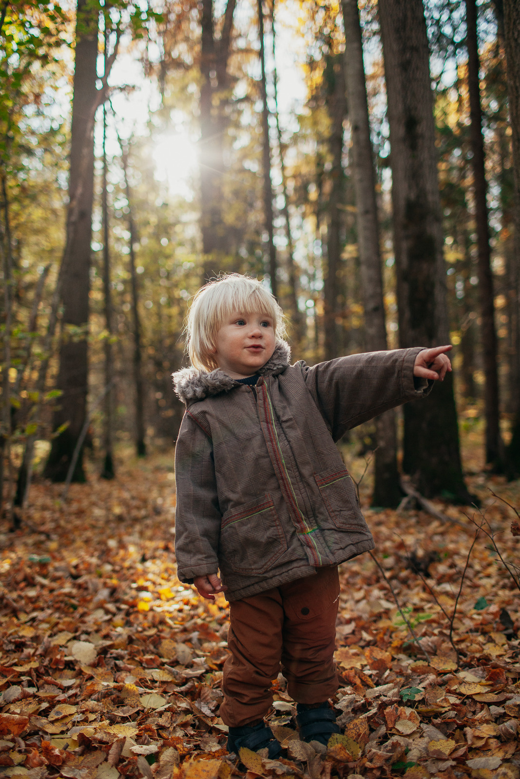 Братья. Семейный домашний фотограф Москва Зеленоград Настя Маркова
