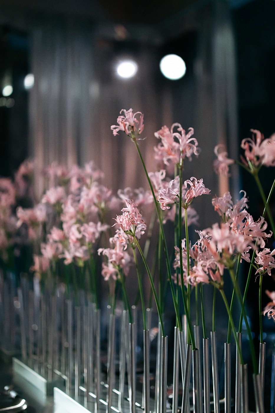 Yubiley Ekateriny. Фотограф Карина Гюльхаджан