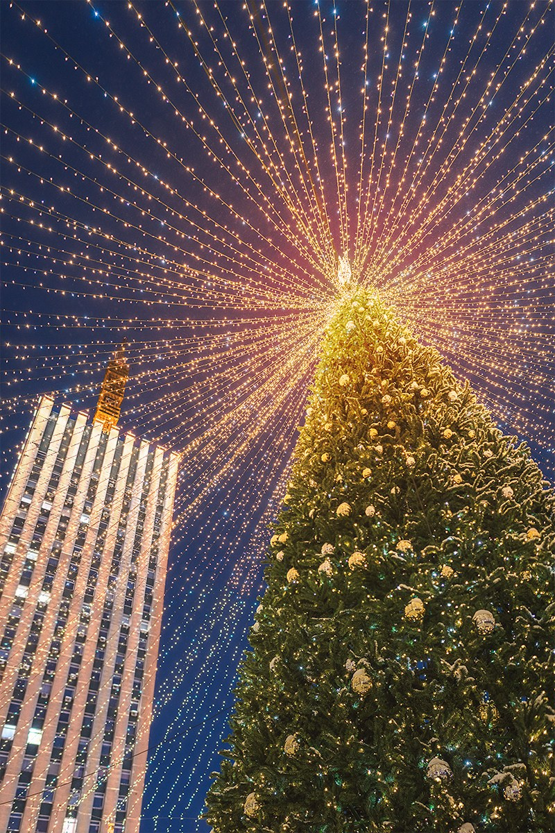 Город. Аэросъемка в Архангельске, Александр Ермолин