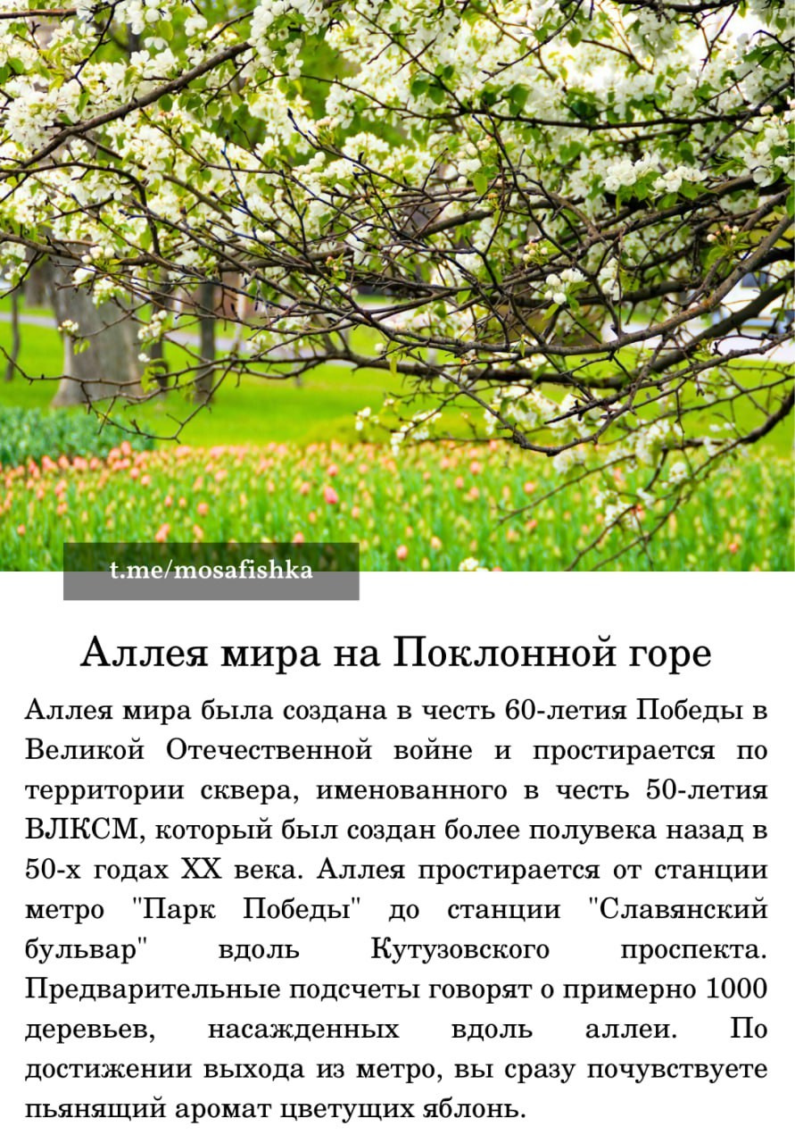 Локации для фотосессии в Москве