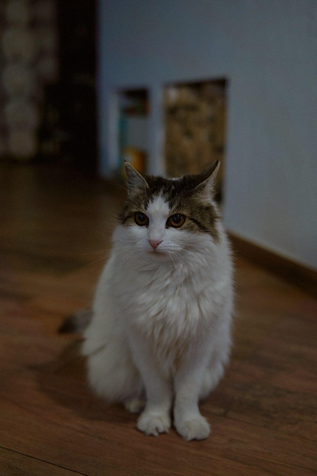 В гостях у бабушки. Фотограф в Санкт-Петербурге | Аня Маленчук