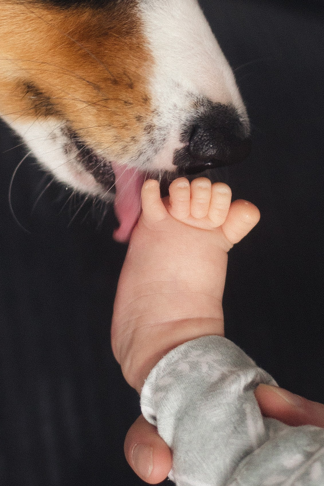 Появление брата. Фотограф из Петербурга