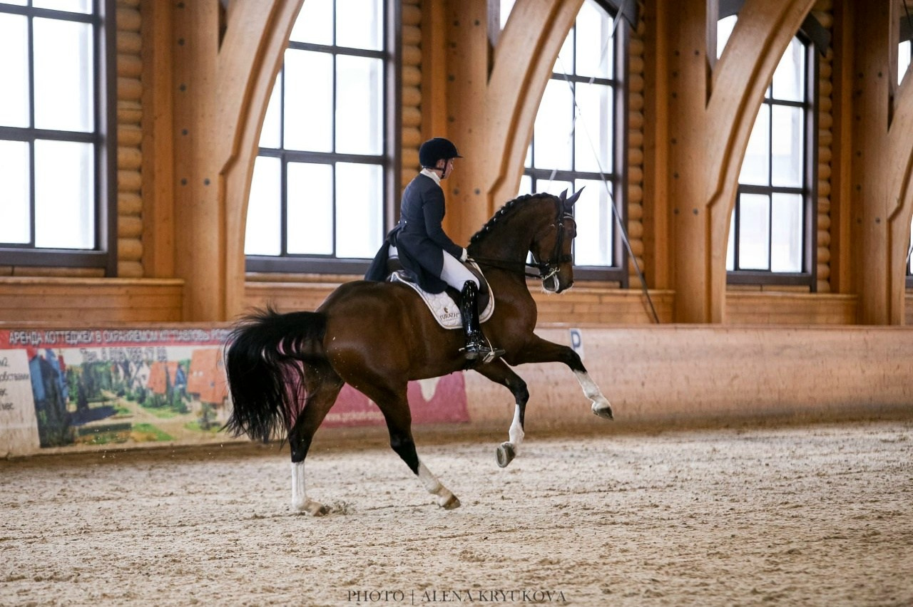 Зимние соревнования. Фотосессии с лошадьми