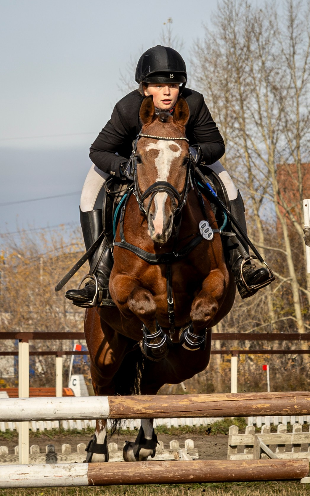 Конкур. Bertran Ordo