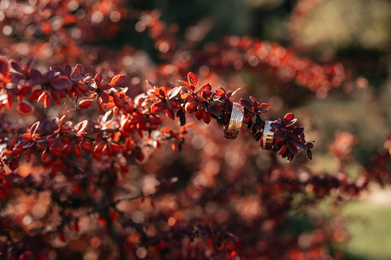 Отзывыф. Свадебный фотограф в Донецке — Вита Донец