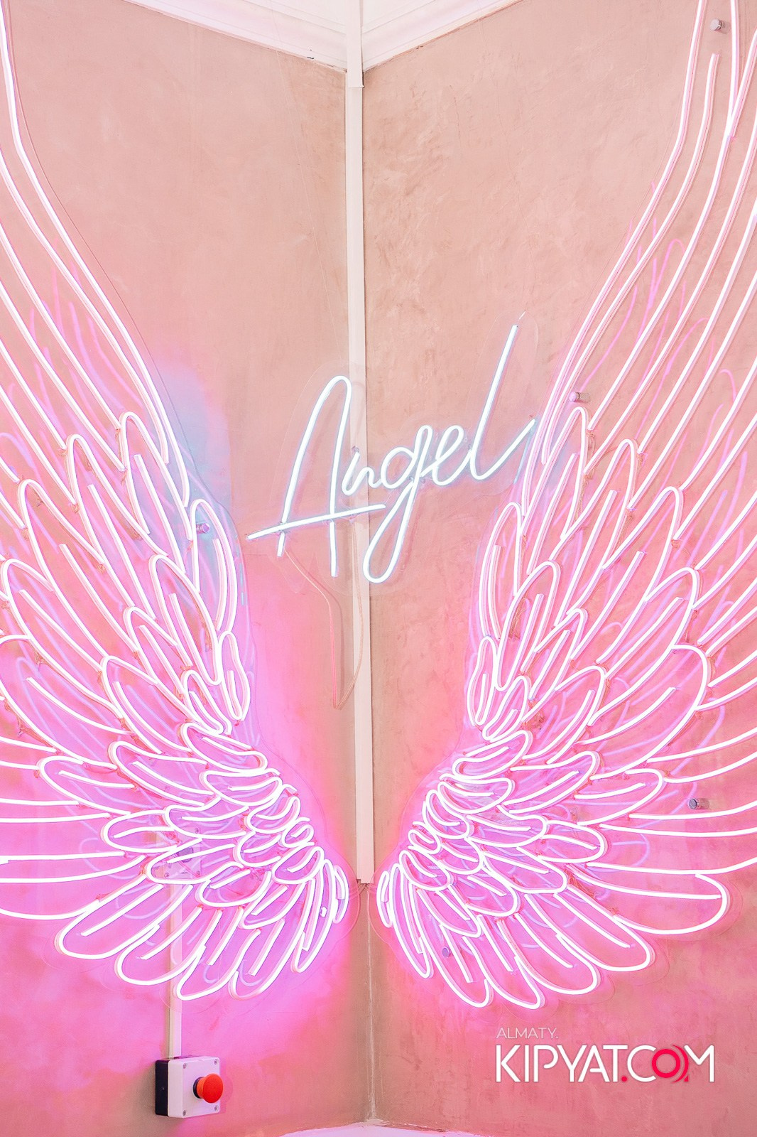 УХО И МЕДВЕДЬ НА КУРМАНГАЗЫ. КИПЯТКОМ АЛМАТЫ!