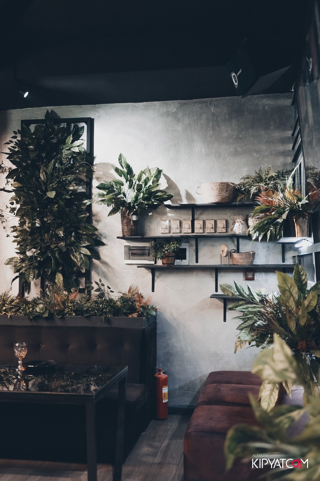 УХО И МЕДВЕДЬ НА КУРМАНГАЗЫ. КИПЯТКОМ АЛМАТЫ!