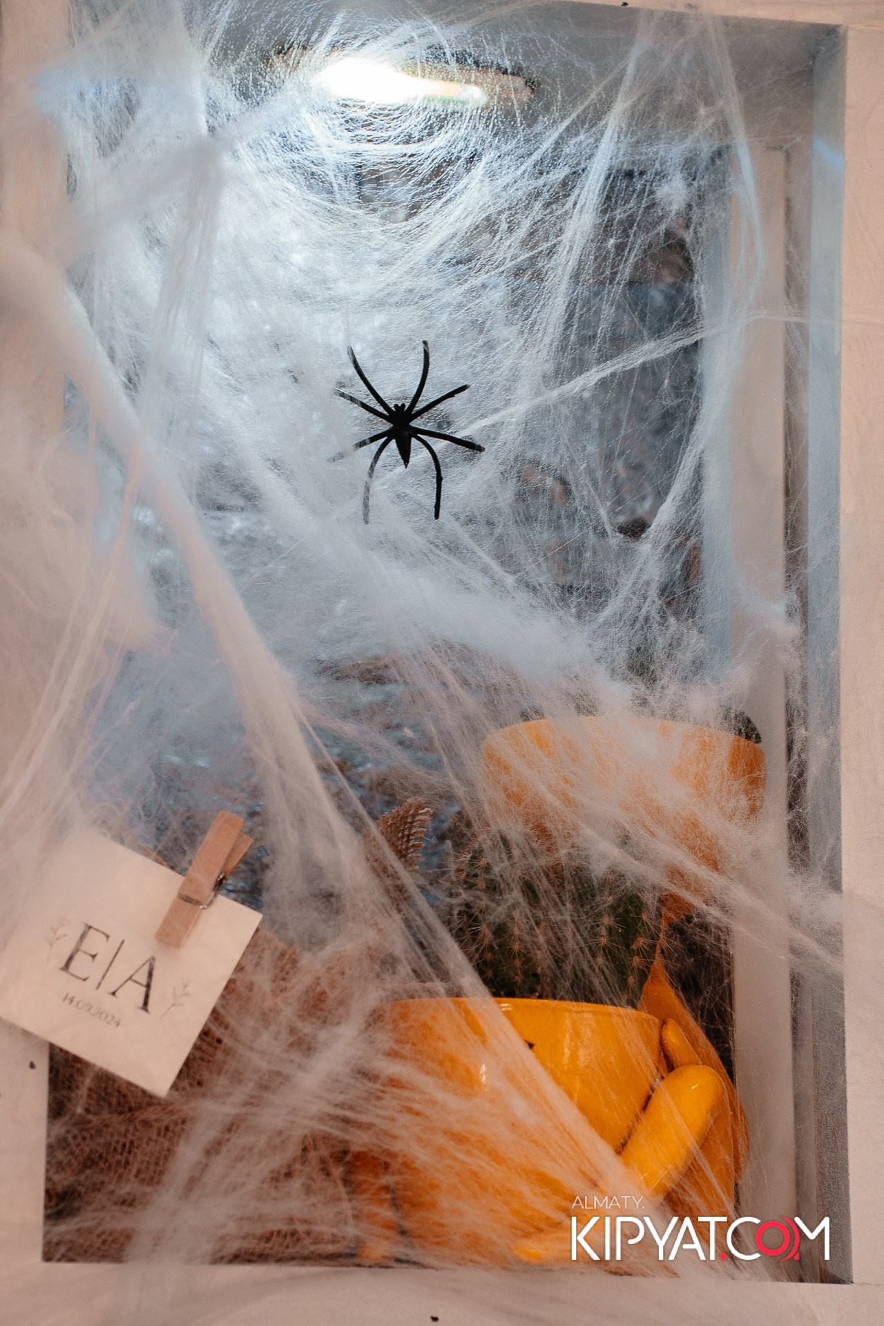 УХО И МЕДВЕДЬ НА ГАГАРИНА. КИПЯТКОМ АЛМАТЫ!