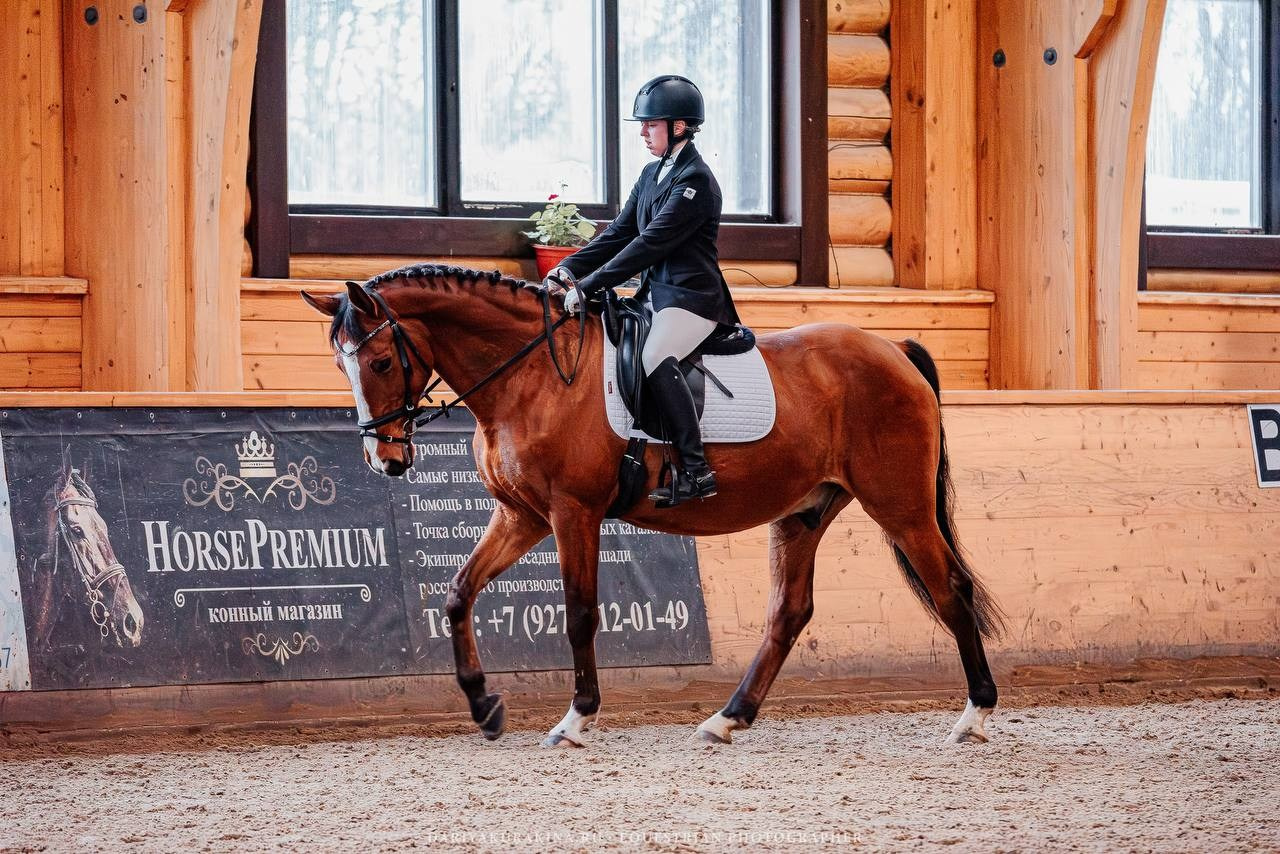 СОРЕВНОВАНИЯ «ЗИМНИЙ КУБОК КСК «ПЕГАС» ПО ВЫЕЗДКЕ. Куракина Дарья • Конный фотограф