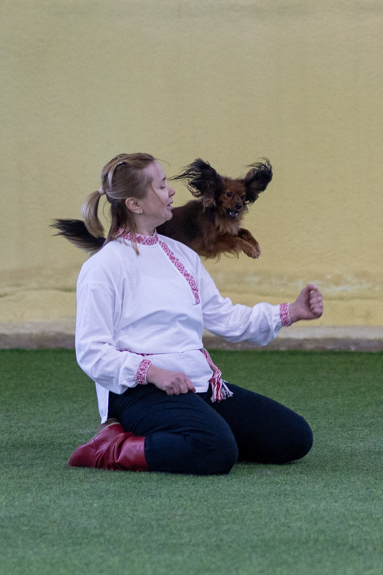 Соревнования танцы. Фотограф-анималист в Москве Кириллова Татьяна