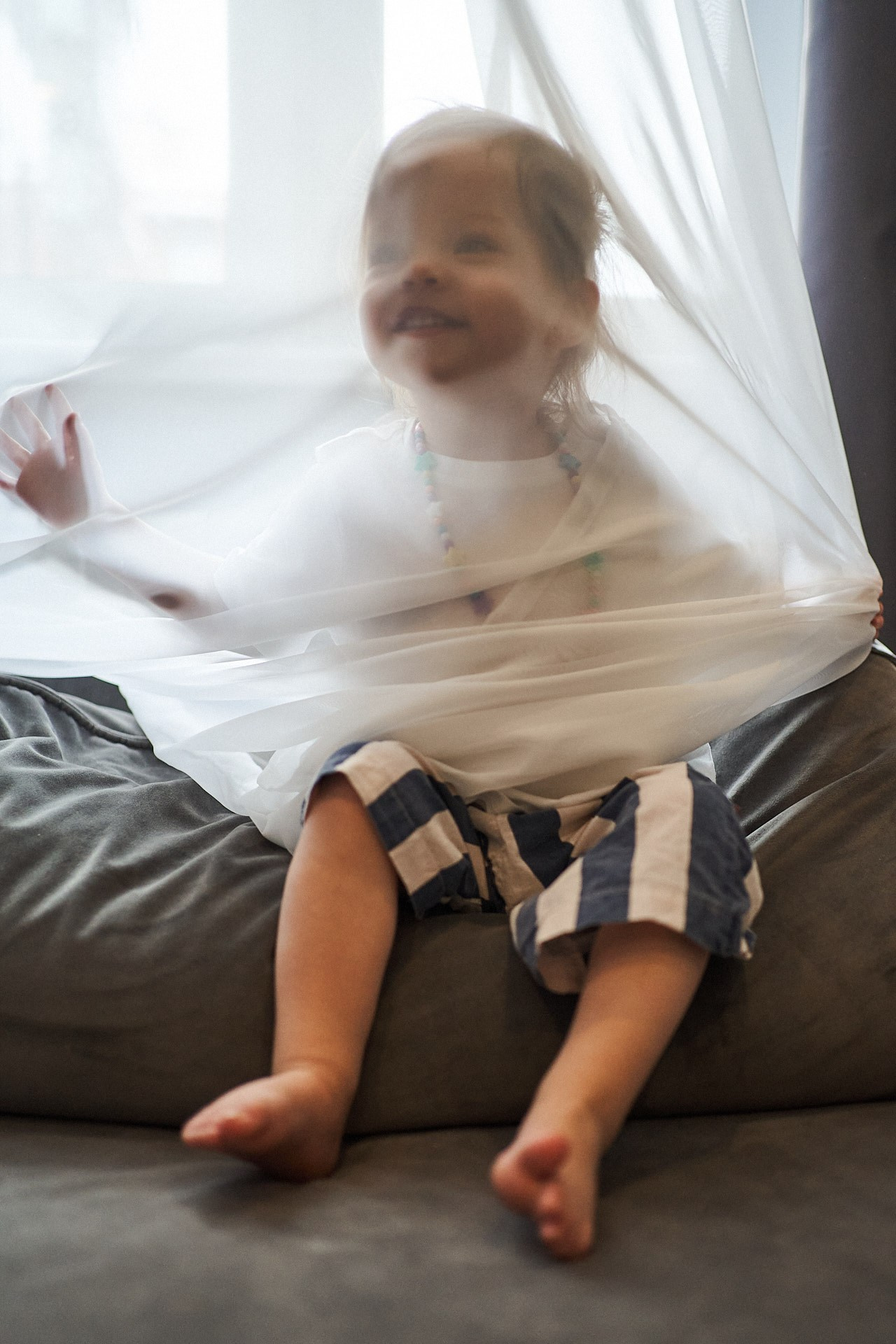 Аня, Майя и Пепси. Фотограф анималист Москва Дарья