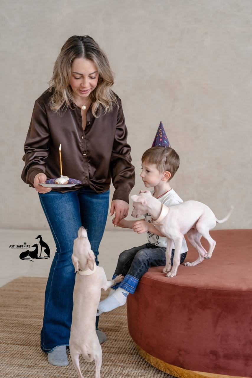 Casper boss & Clyde & Klaus. Профессиональный питомник левреток РКФ/FCI ASTI SAPPHIRE 💎 Сочи|Санкт-Петербург