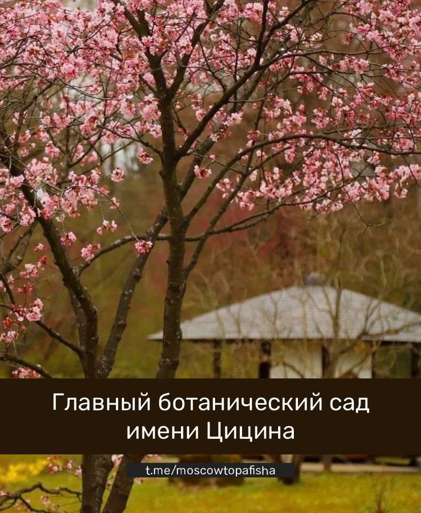 Локации для фотосессии в Москве