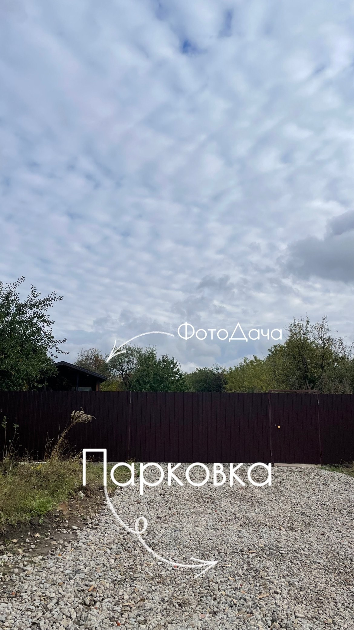 ФотоDacha (Брянск, Сдт Мичуринец 380). Портретный, семейный, свадебный фотограф в Брянске Маргарита Василькова