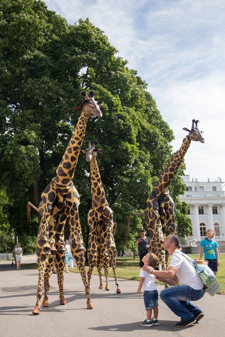 «Лето, семья, парк: идеальная фотосессия». Свадебный и Репортажный фотограф в Санкт-Петербурге