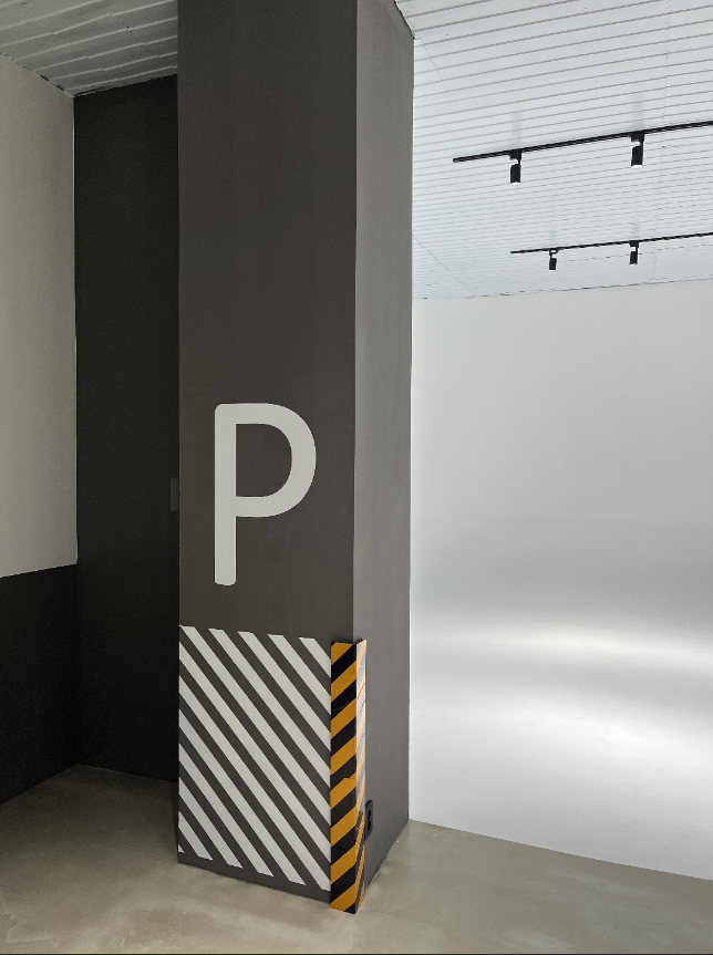 Хром (студия Ван Рум). Фотограф г. Хабаровск. Семейные и индивидуальные съёмки