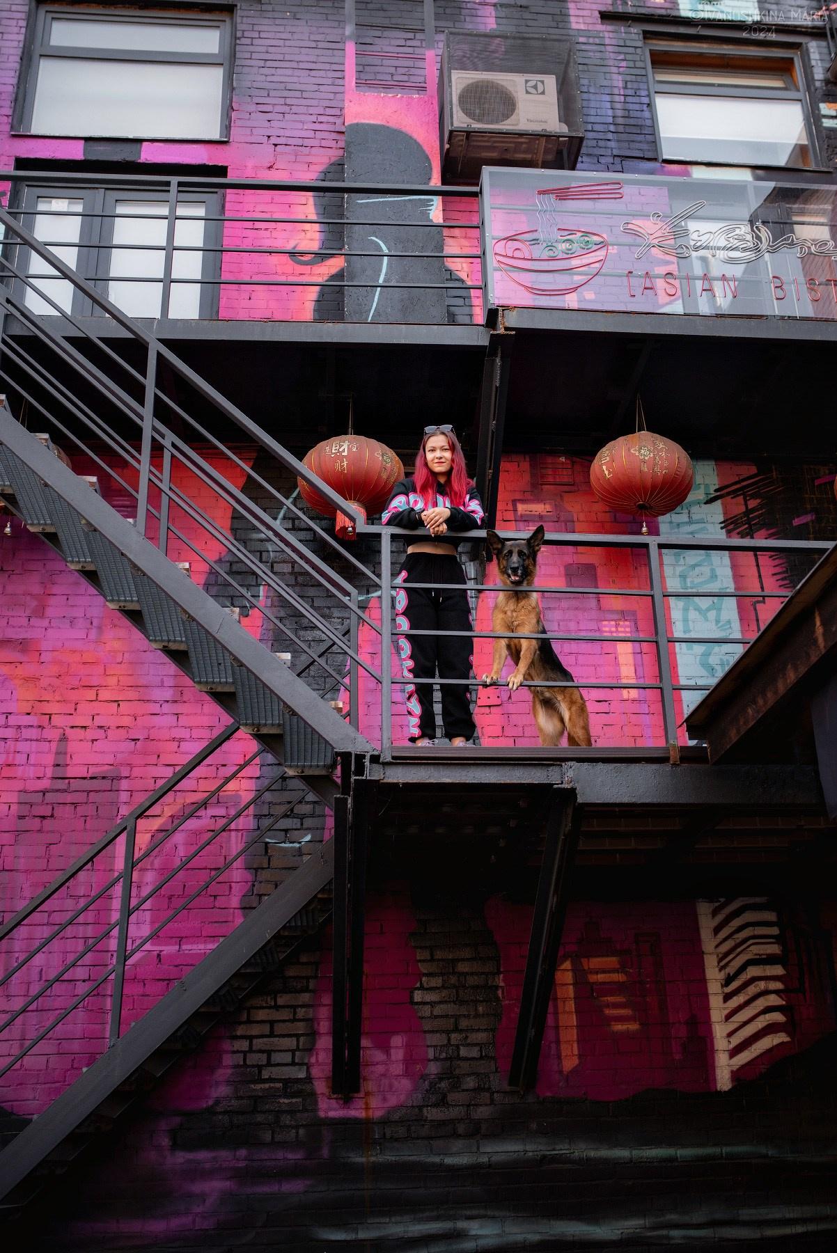 Фотосессия с собакой. Фотограф собак в Москве и Московской области Иванушкина Мария