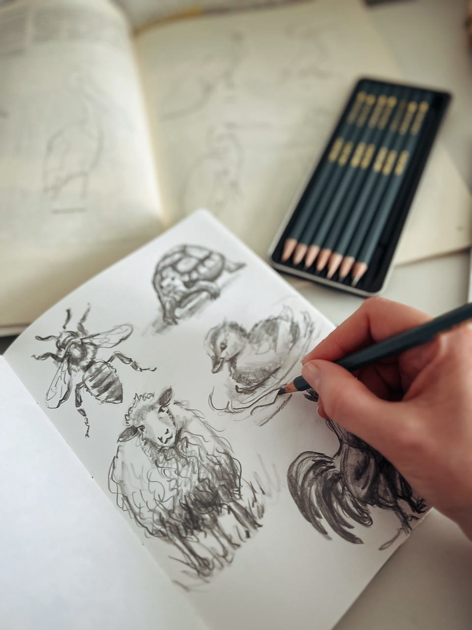 Иллюстрация. Фотограф Ольга Сальманович